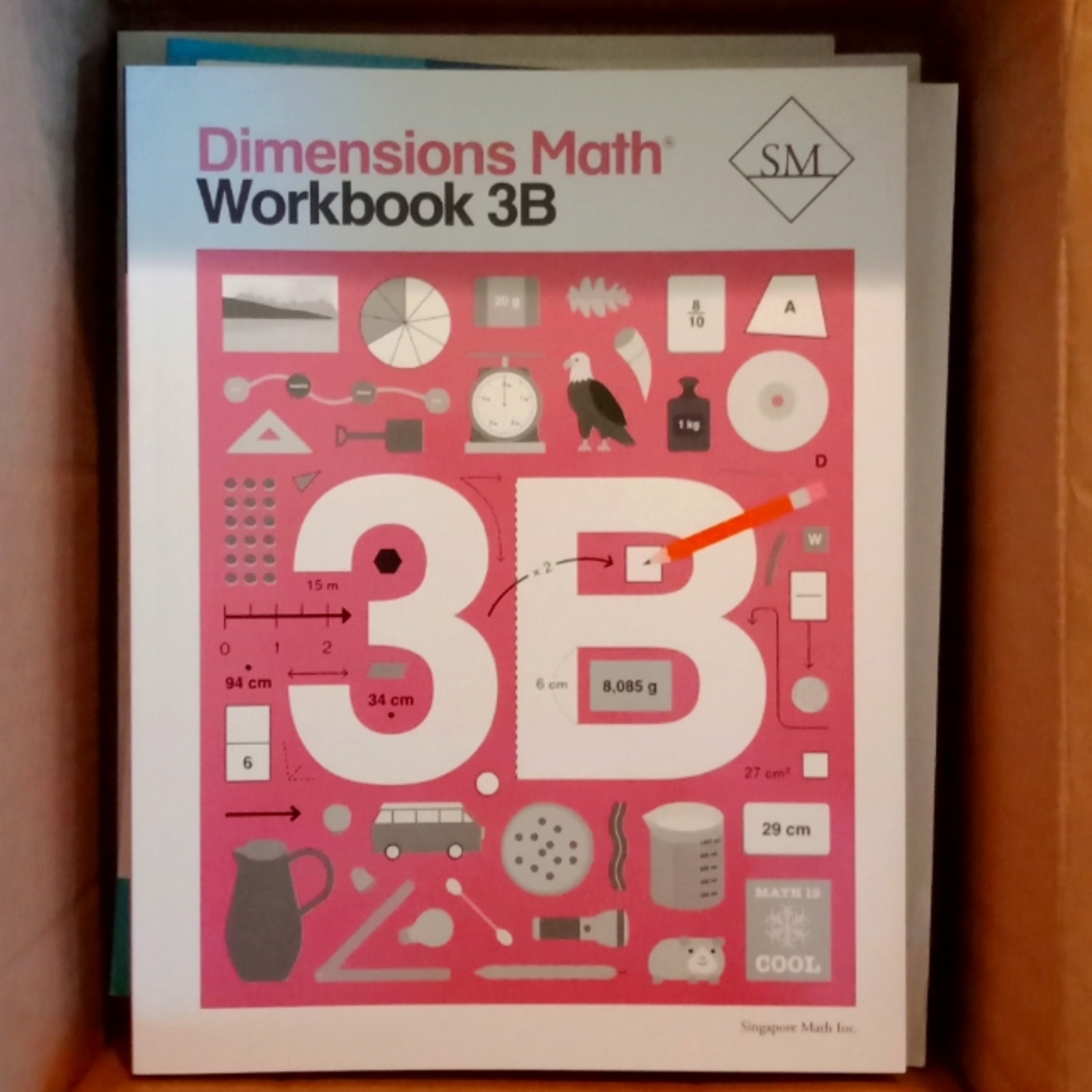 Singapore dimensions textbook workbook 3b